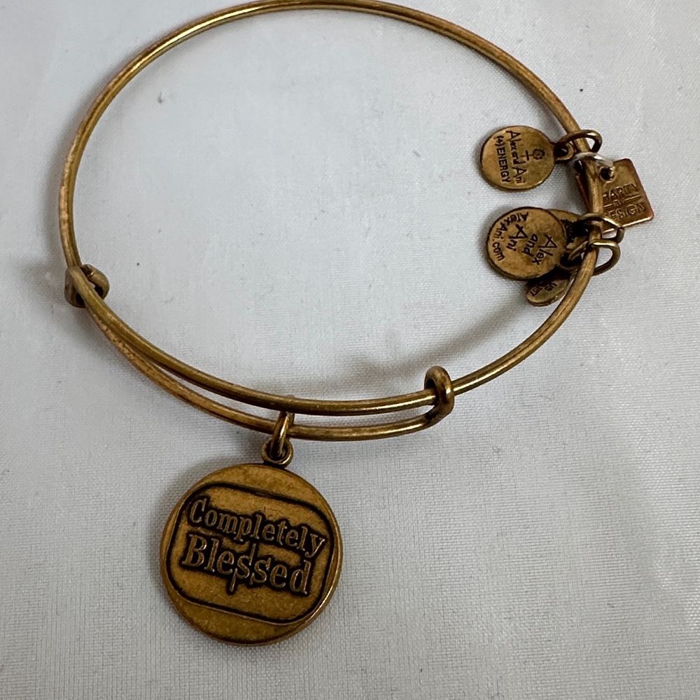 Alex and Ani Gold Charm Bangle